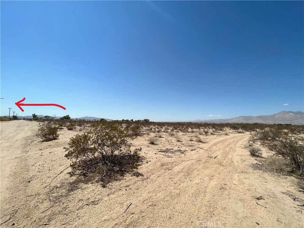 MLS #OC24116582 image #13