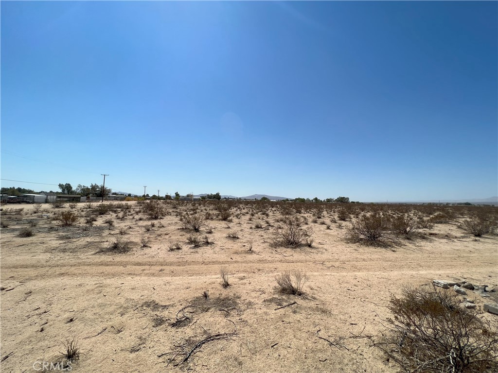 MLS #OC24116582 image #6