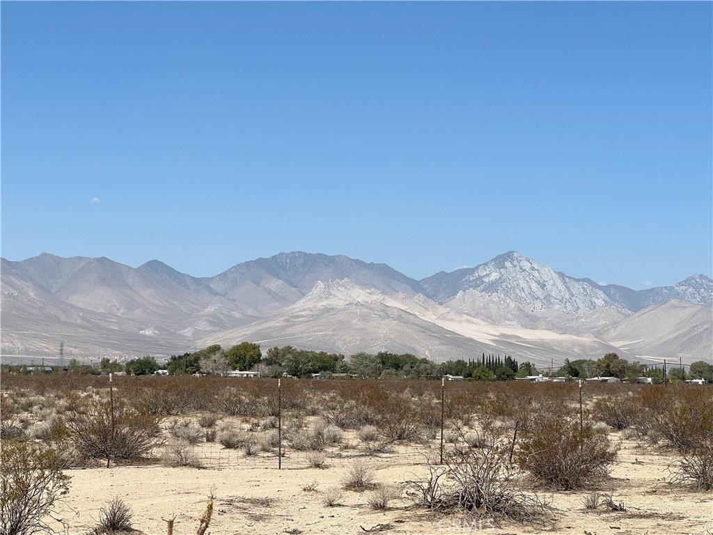 MLS #OC24116582 image #8