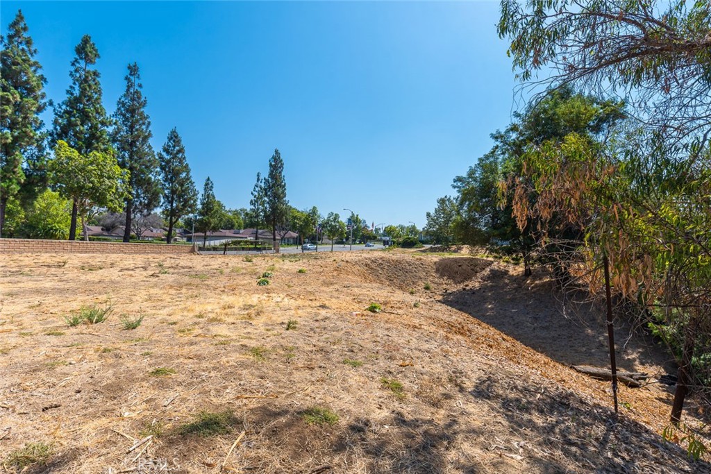 MLS #OC24138449 image #10