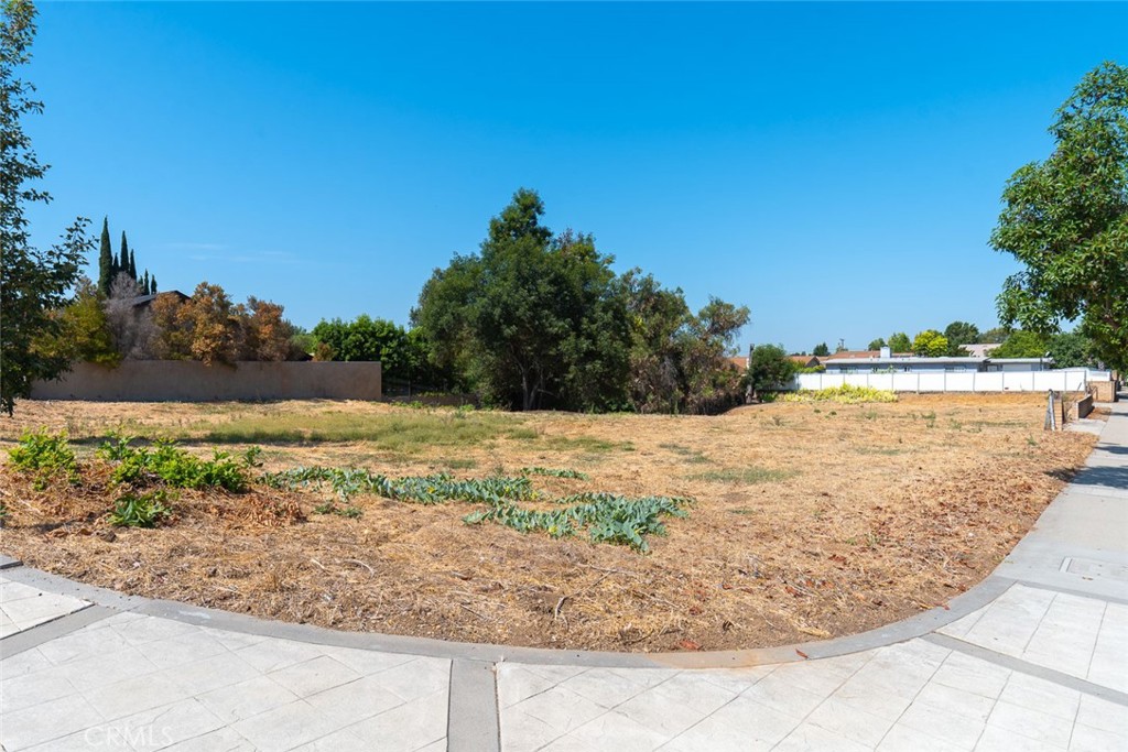 MLS #OC24138449 image #6