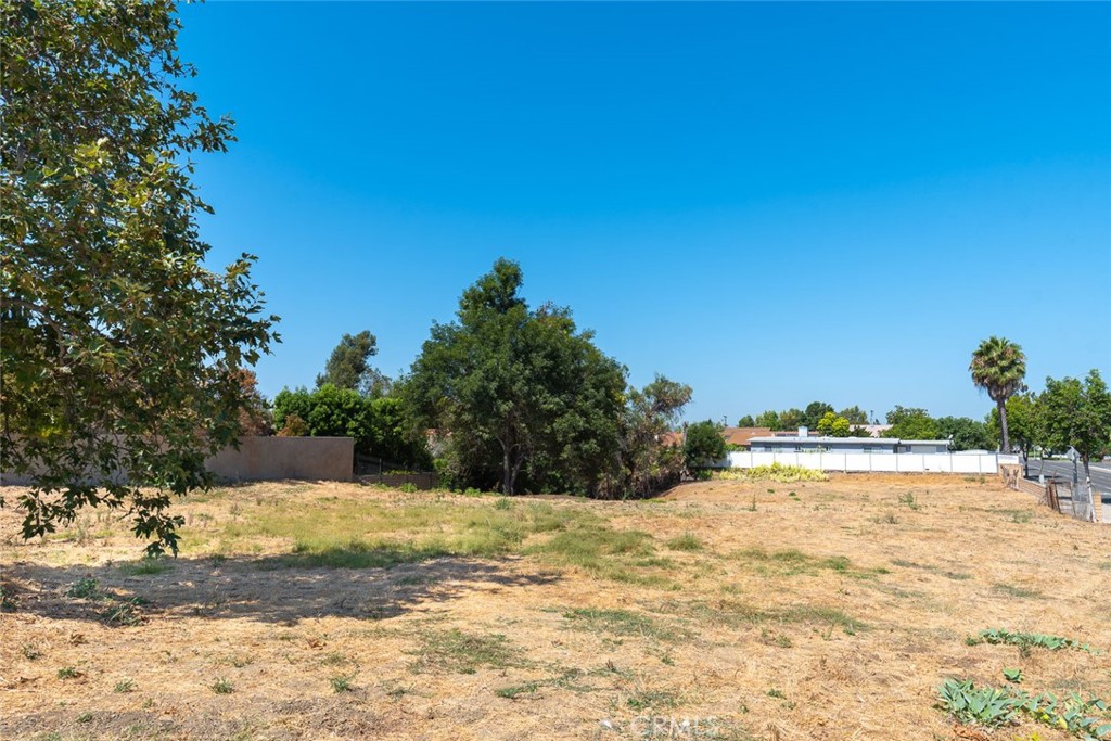 MLS #OC24138449 image #7