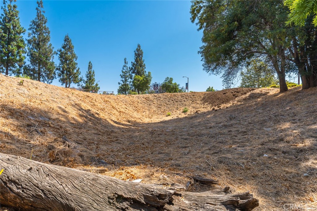 MLS #OC24138449 image #9