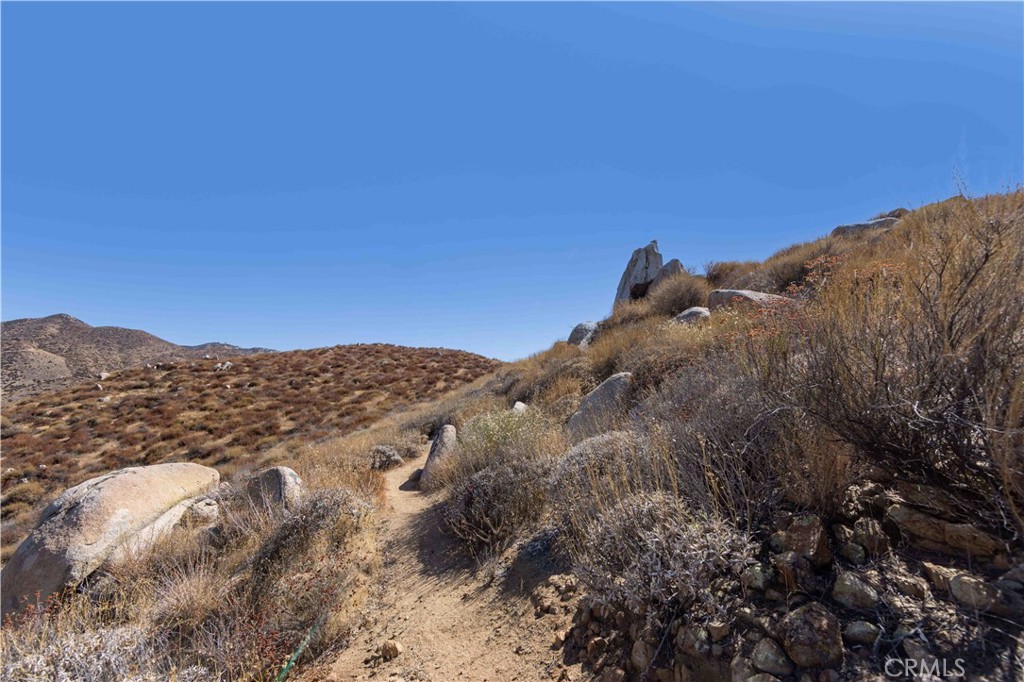 MLS #OC24170072 image #48