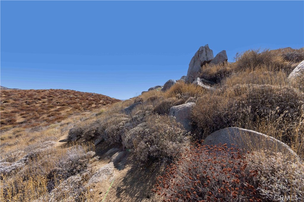 MLS #OC24170072 image #49