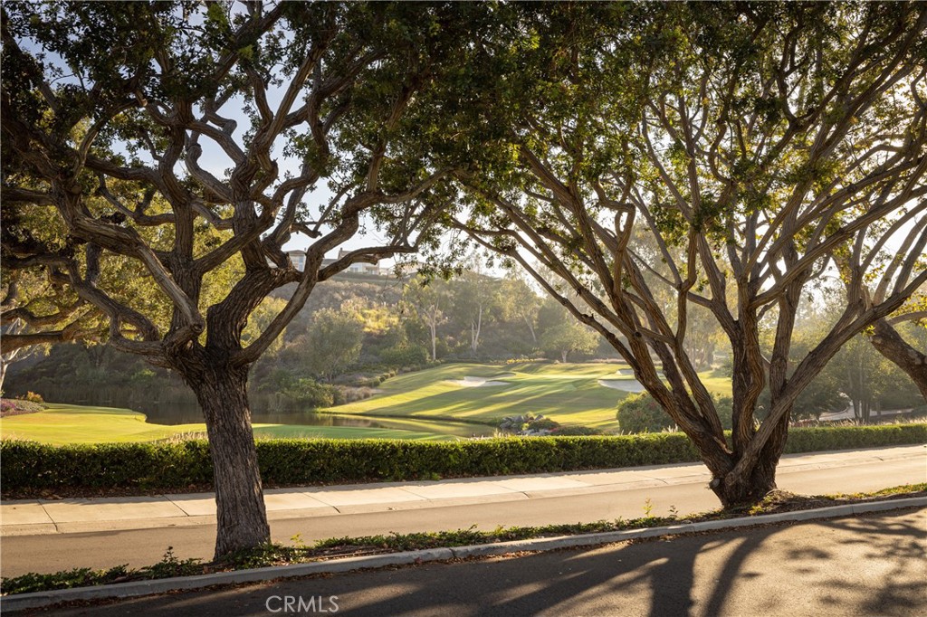 MLS #OC24180292 image #46