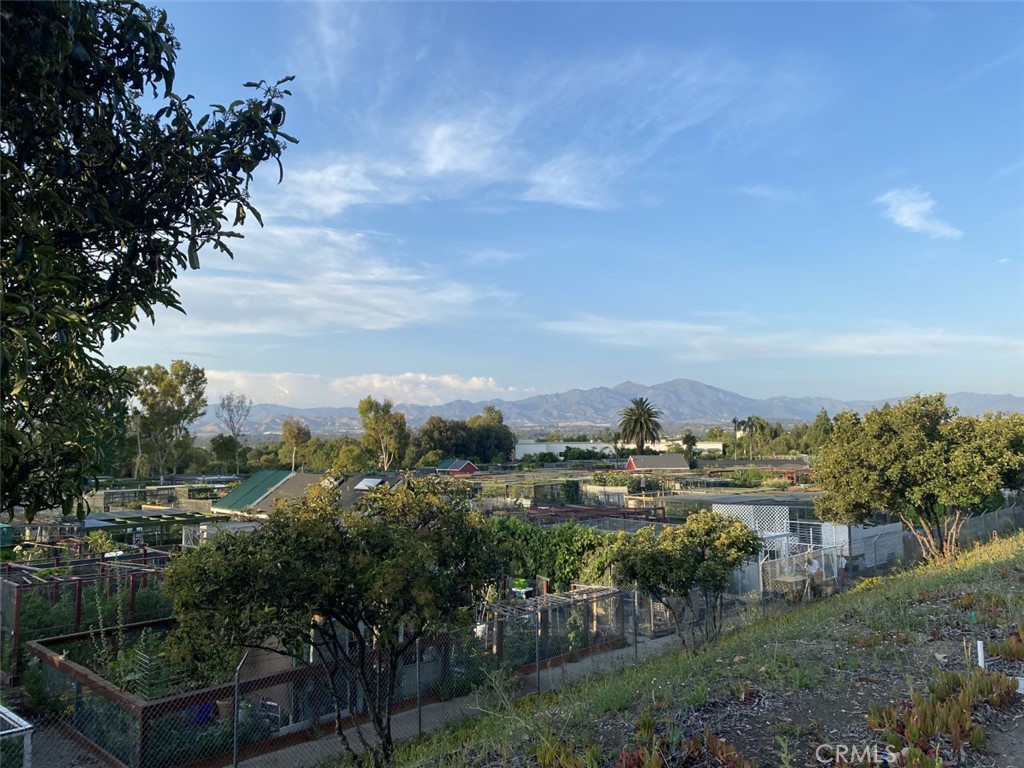 MLS #OC24221522 image #14