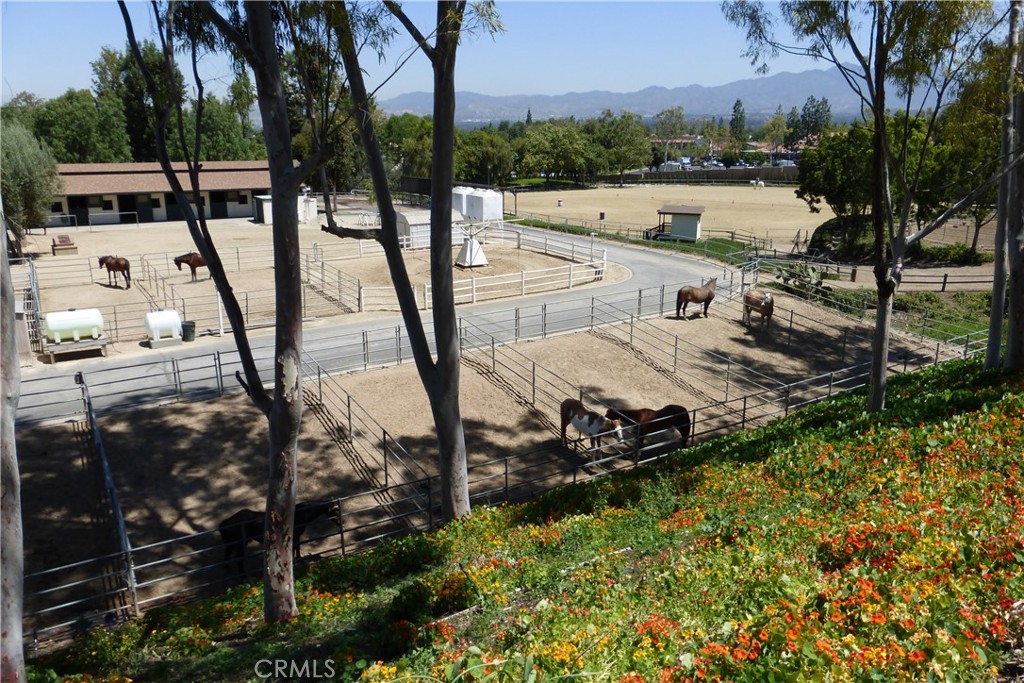 MLS #OC24221522 image #18