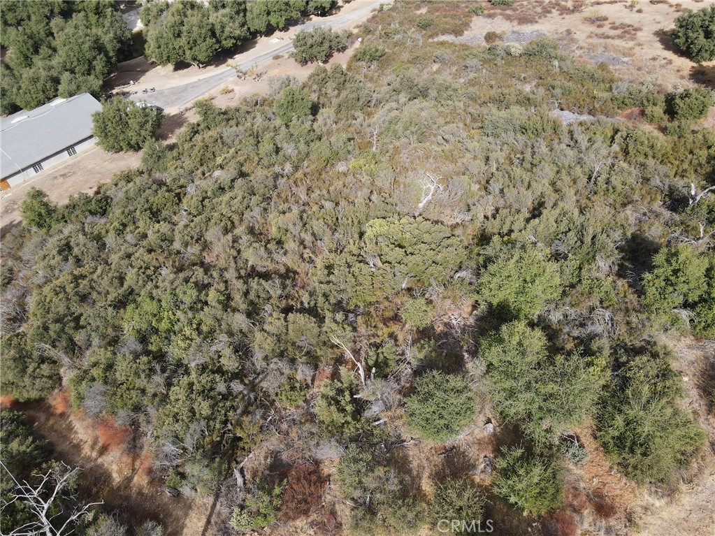 MLS #OC24224464 image #3