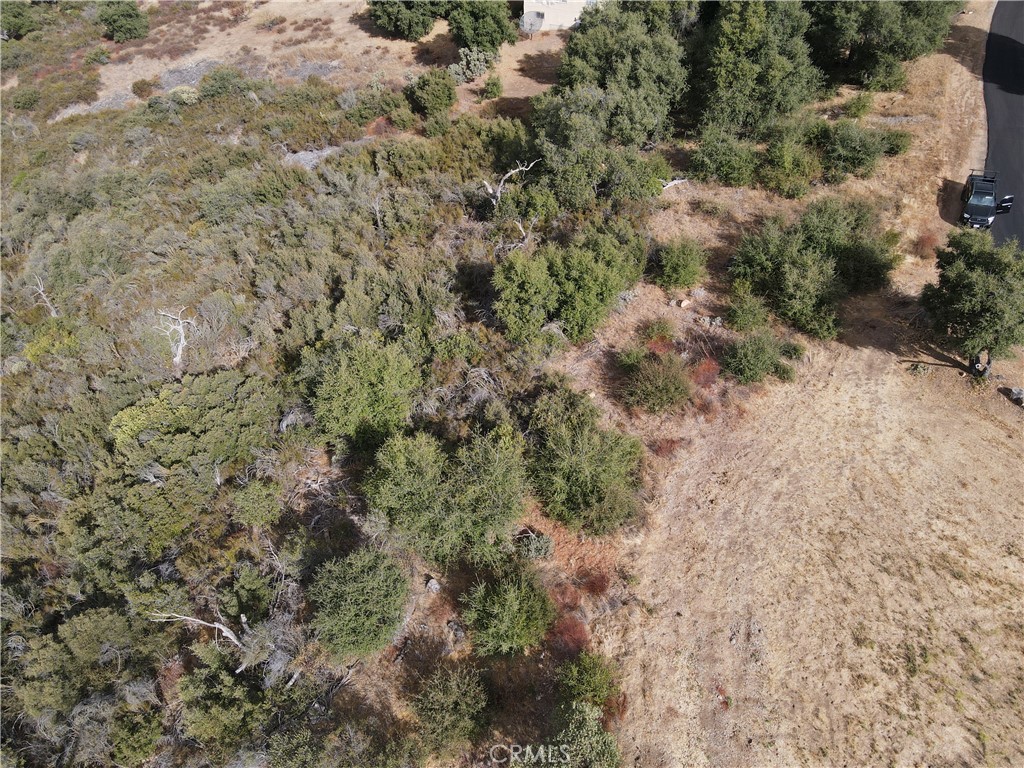 MLS #OC24224464 image #4