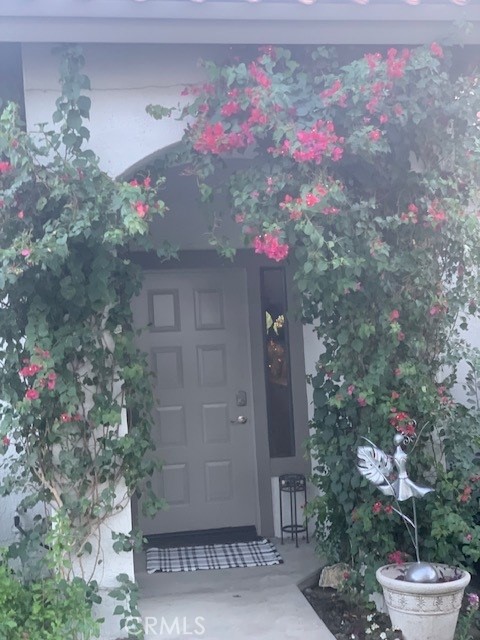 MLS #OC24238539 image #0