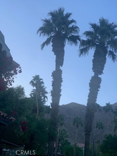 MLS #OC24238539 image #2