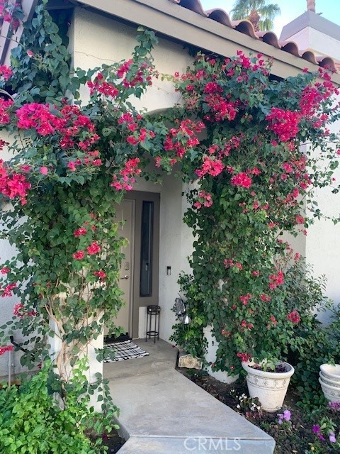 MLS #OC24238539 image #6