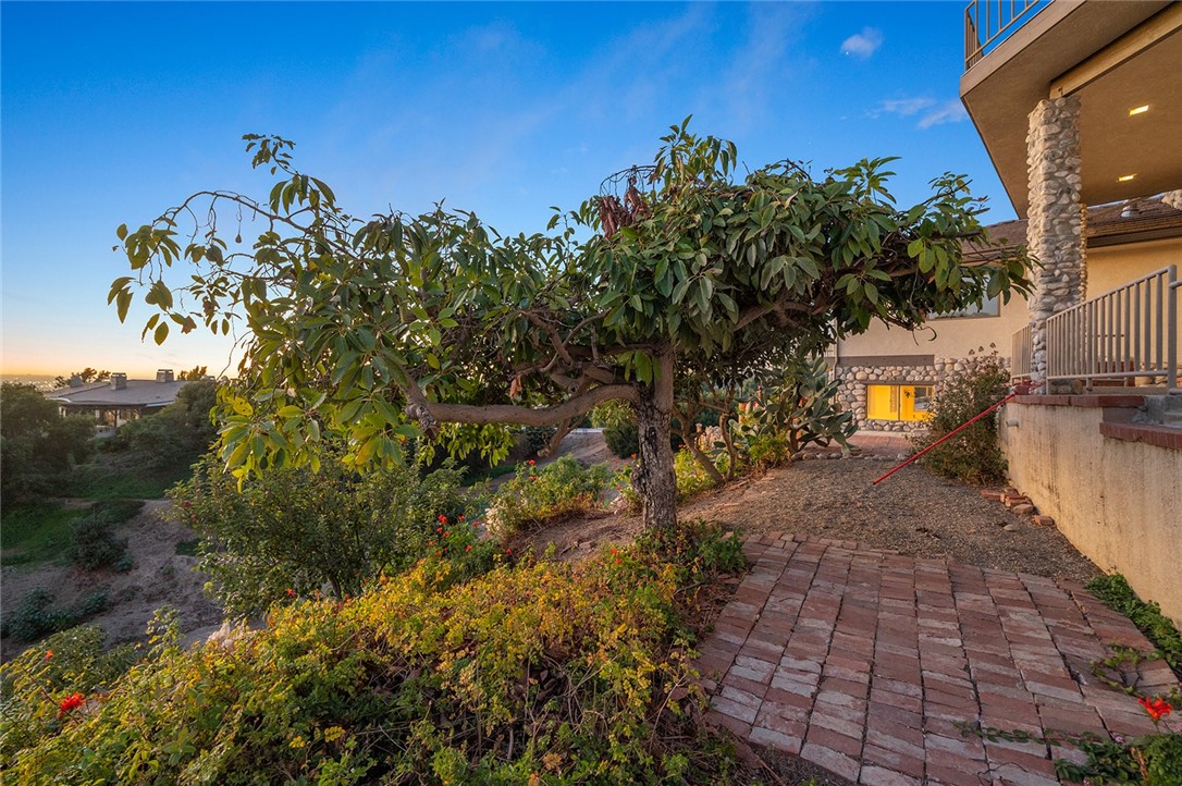 MLS #OC24241082 image #60