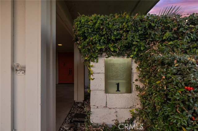 MLS #OC24252741 image #7