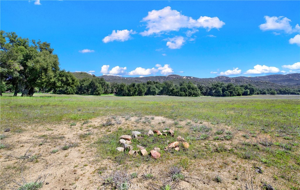 MLS #OC25004389 image #11