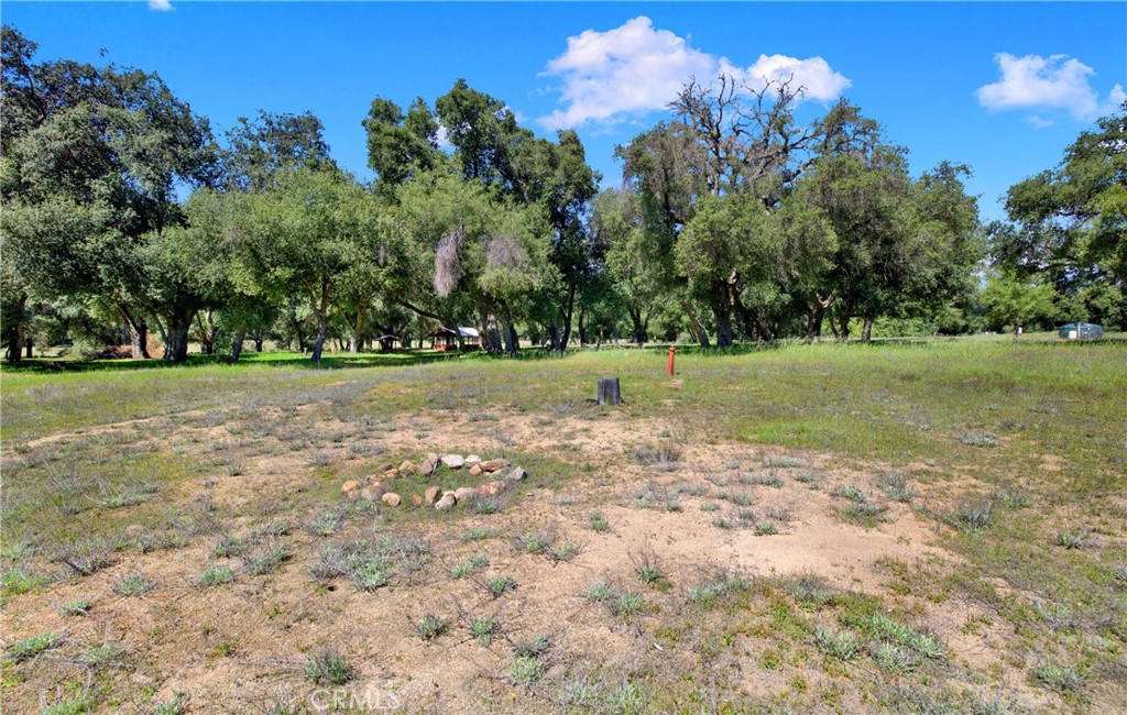 MLS #OC25004389 image #12