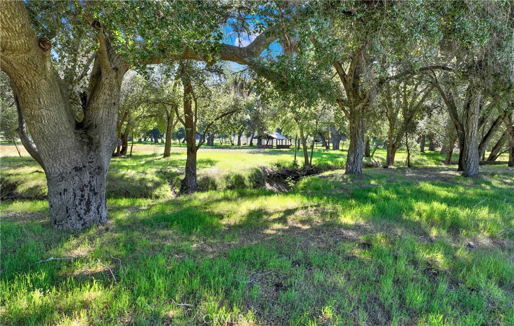 MLS #OC25004389 image #16