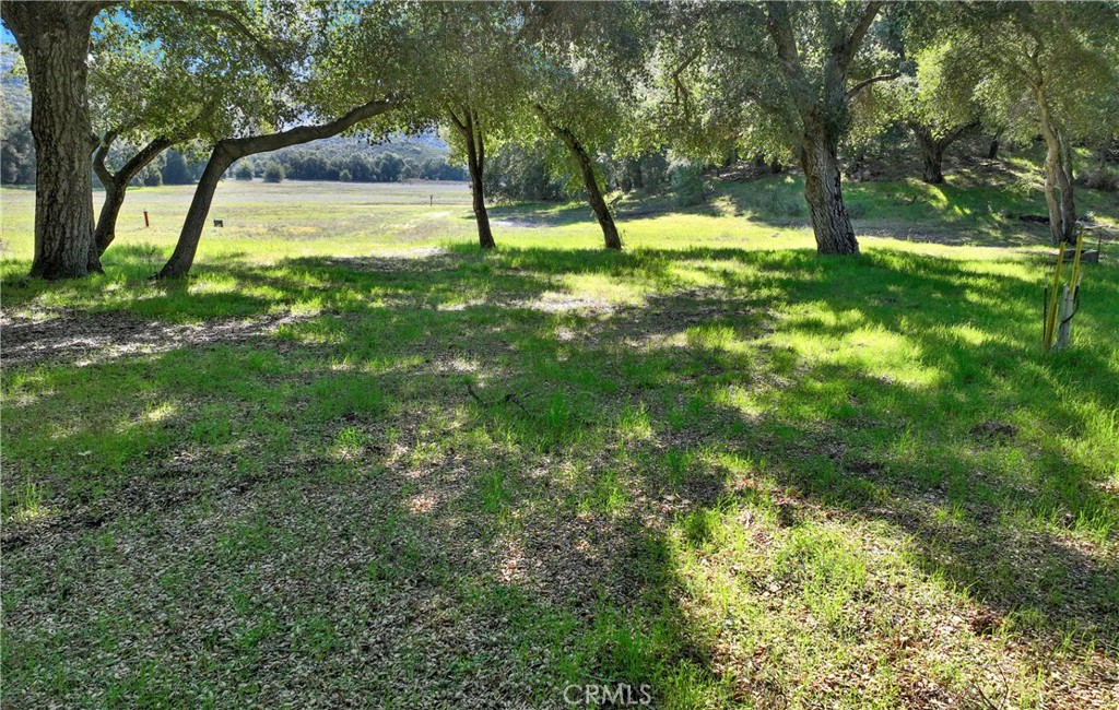 MLS #OC25004389 image #19