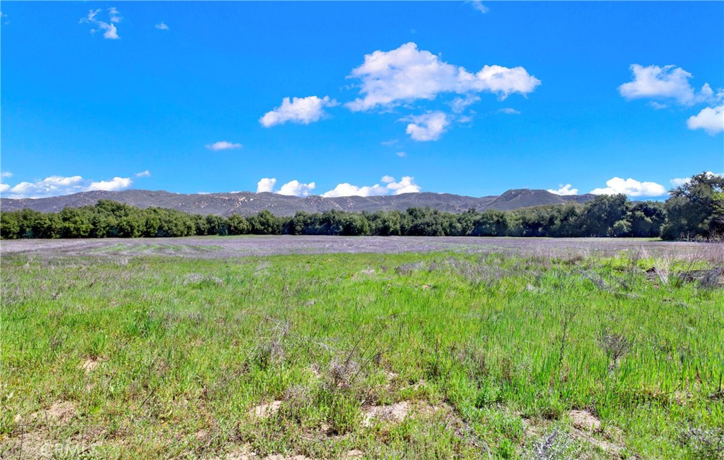 MLS #OC25004389 image #2