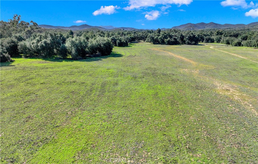 MLS #OC25004389 image #21