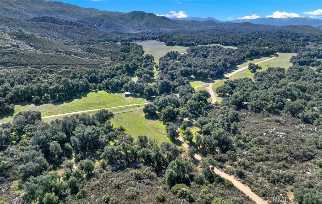 MLS #OC25004389 image #4