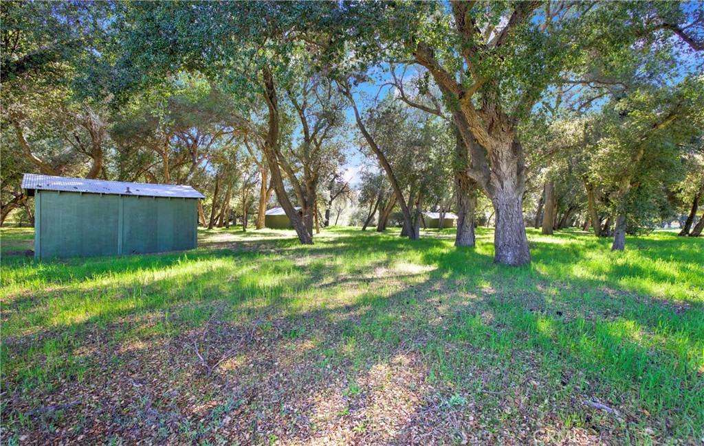 MLS #OC25004389 image #5