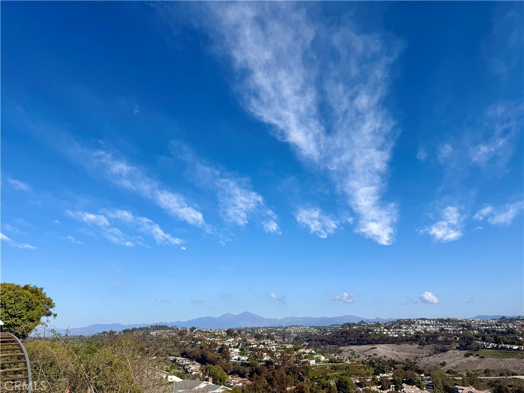 MLS #OC25010978 image #10