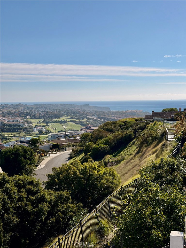 MLS #OC25010978 image #60