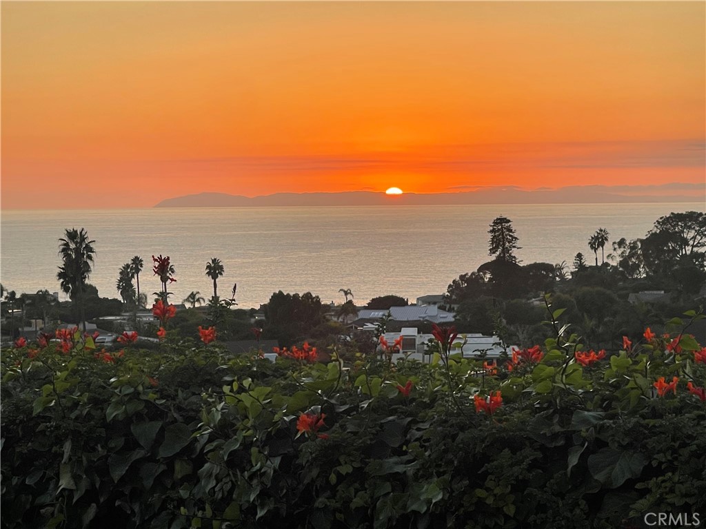 MLS #OC25018672 image #40