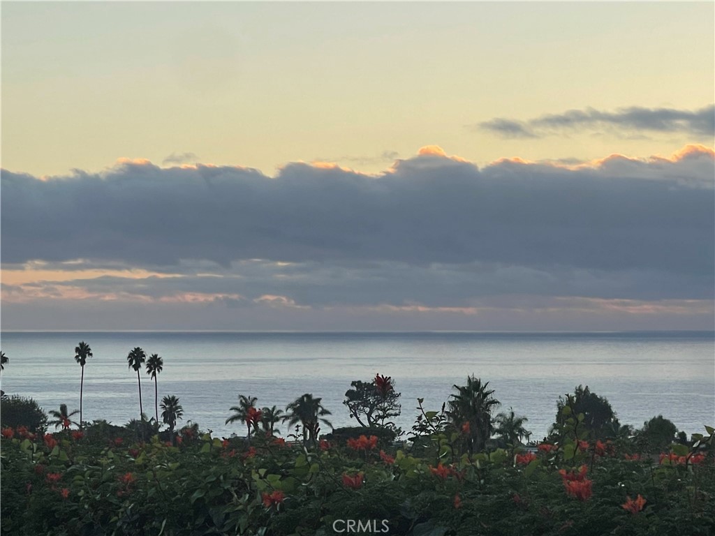 MLS #OC25018672 image #41