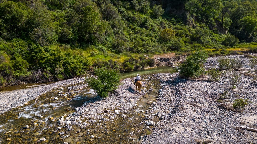 MLS #OC25022991 image #14