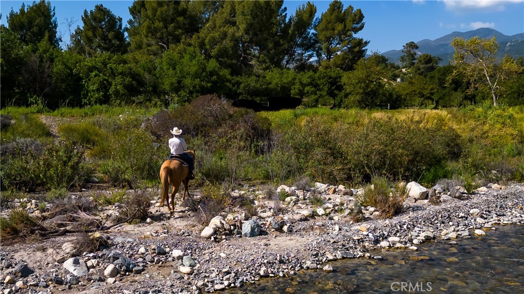 MLS #OC25022991 image #15