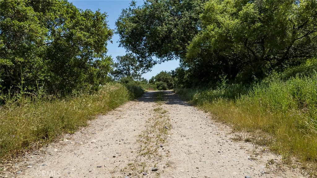 MLS #OC25022991 image #6