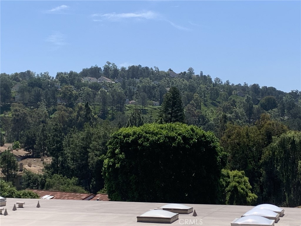 MLS #OC25037700 image #12