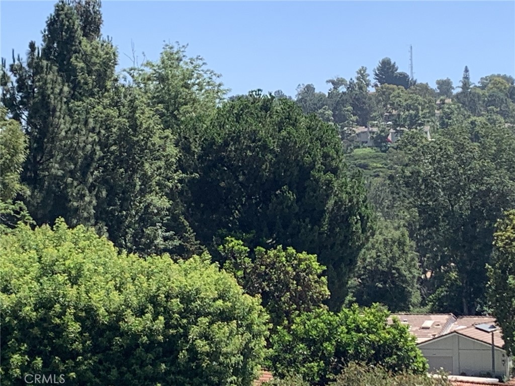 MLS #OC25037700 image #3