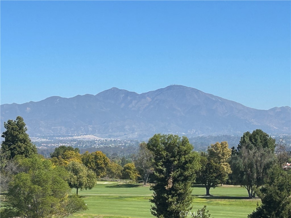 MLS #OC25037700 image #38