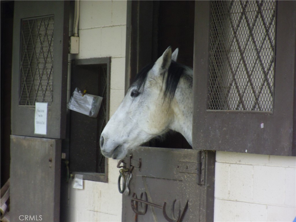 MLS #OC25037700 image #52