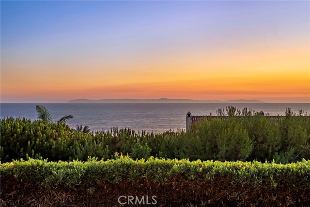 MLS #OC25053776 image #15