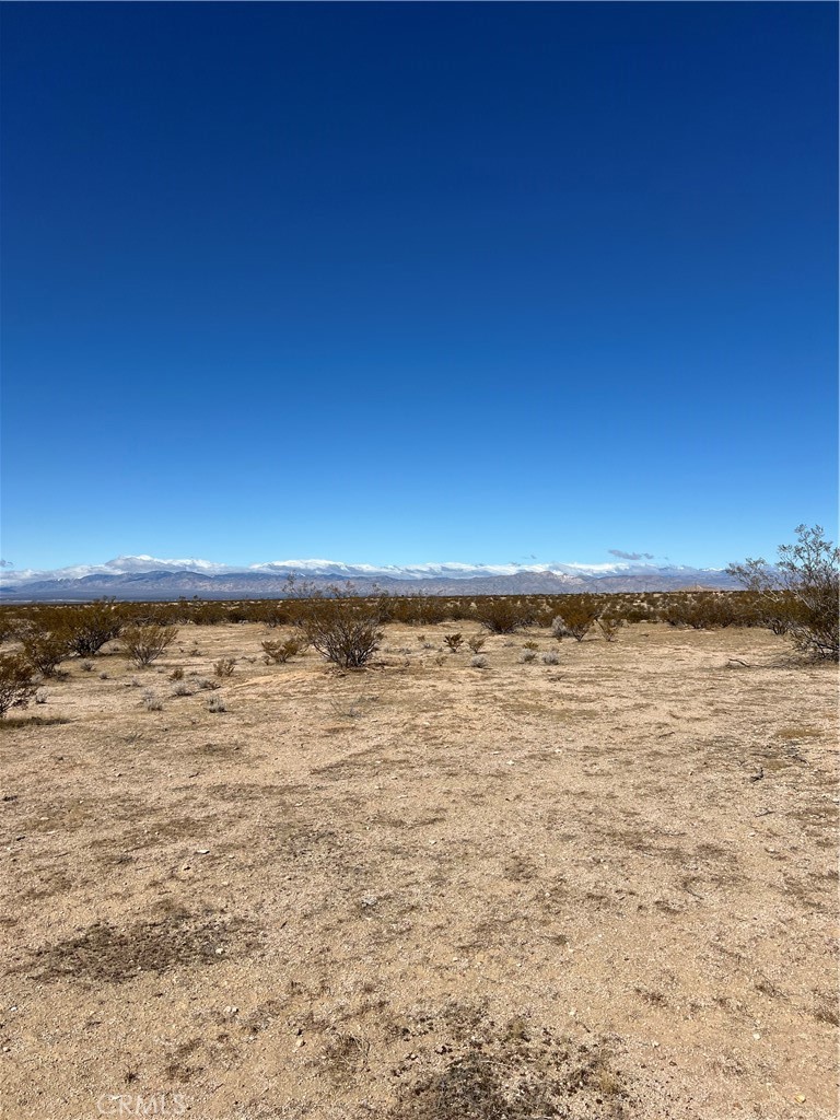 MLS #OC25055281 image #10