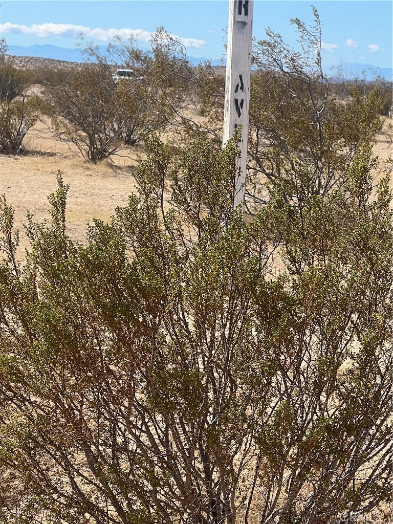 MLS #OC25055281 image #16