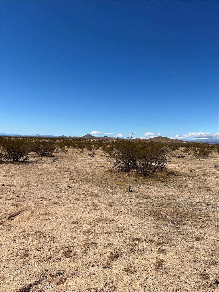 MLS #OC25055281 image #5