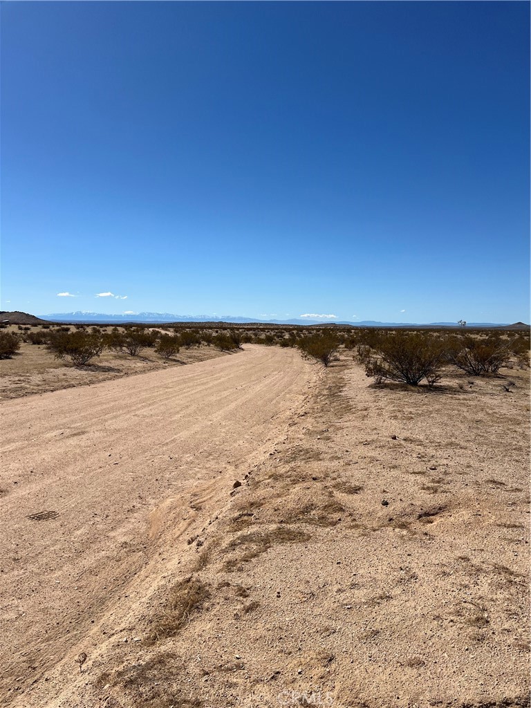 MLS #OC25055281 image #6