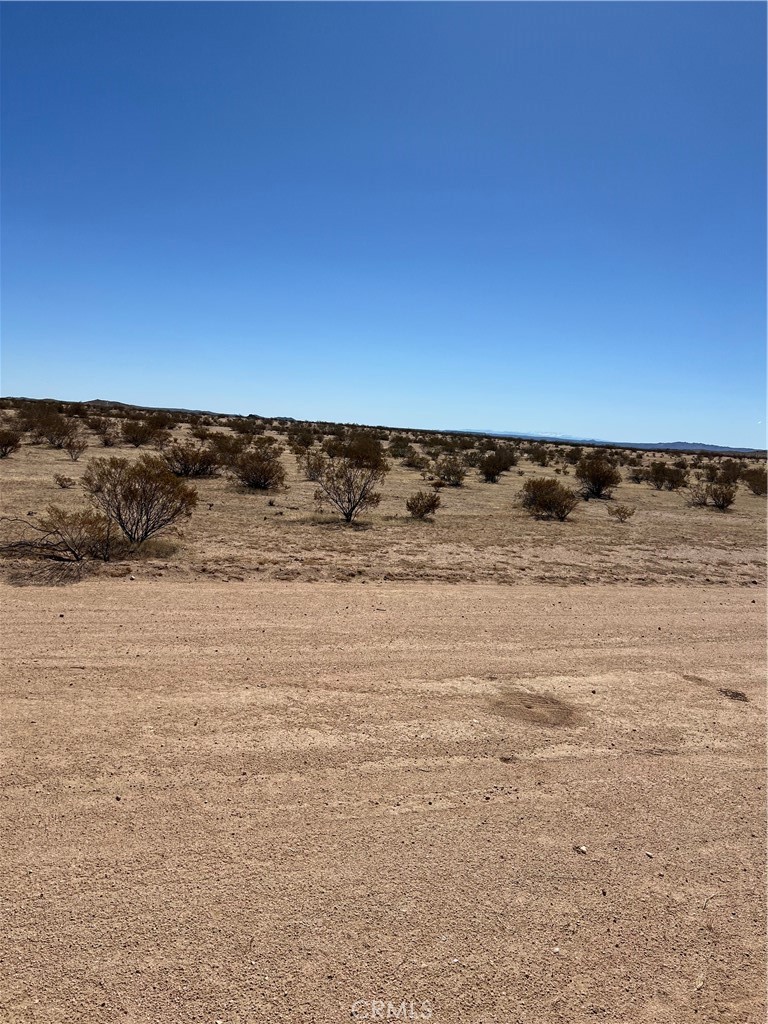 MLS #OC25055281 image #7