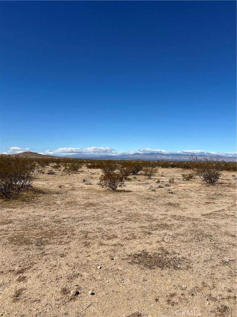 MLS #OC25055281 image #8