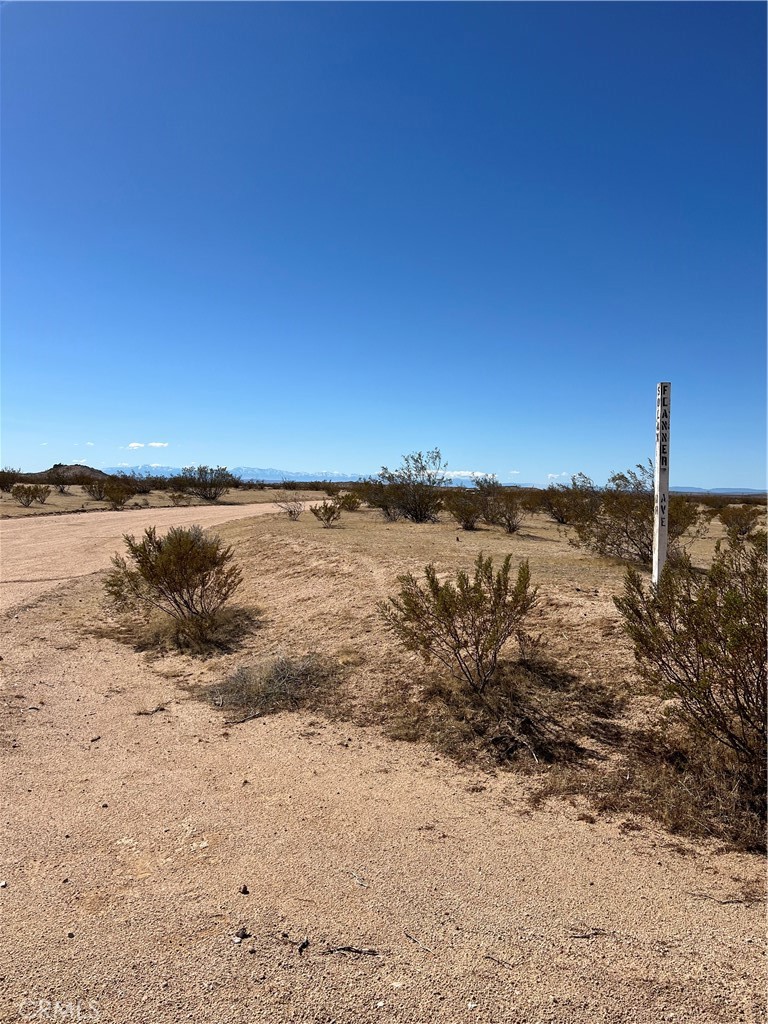 MLS #OC25055281 image #9