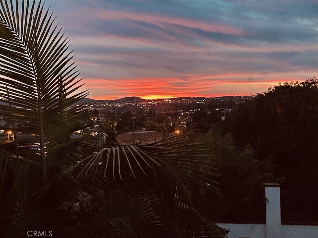 MLS #OC25058396 image #33