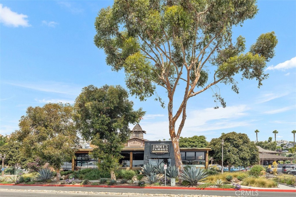 MLS #OC25067315 image #42