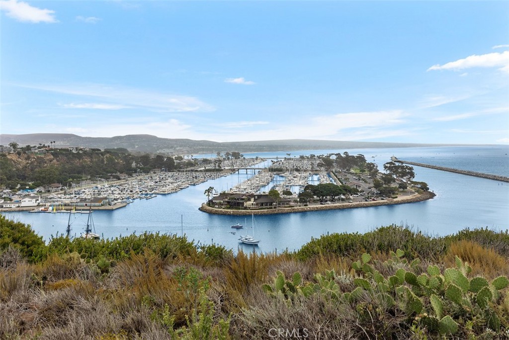 MLS #OC25067315 image #61