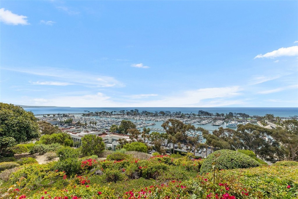 MLS #OC25067315 image #69